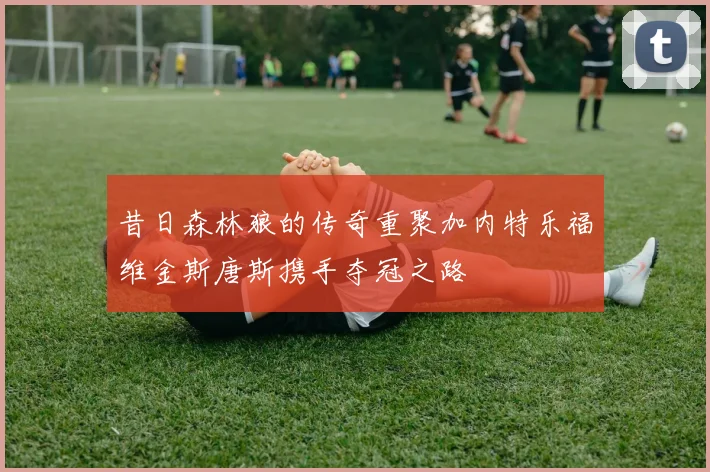 昔日森林狼的传奇重聚加内特乐福维金斯唐斯携手夺冠之路
